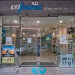 Entrada a la clínica veterinaria Vetfaunia