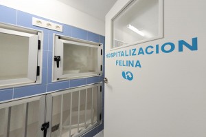 Hospital Felino Castellón 