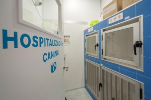 Hospital canino Castellón 